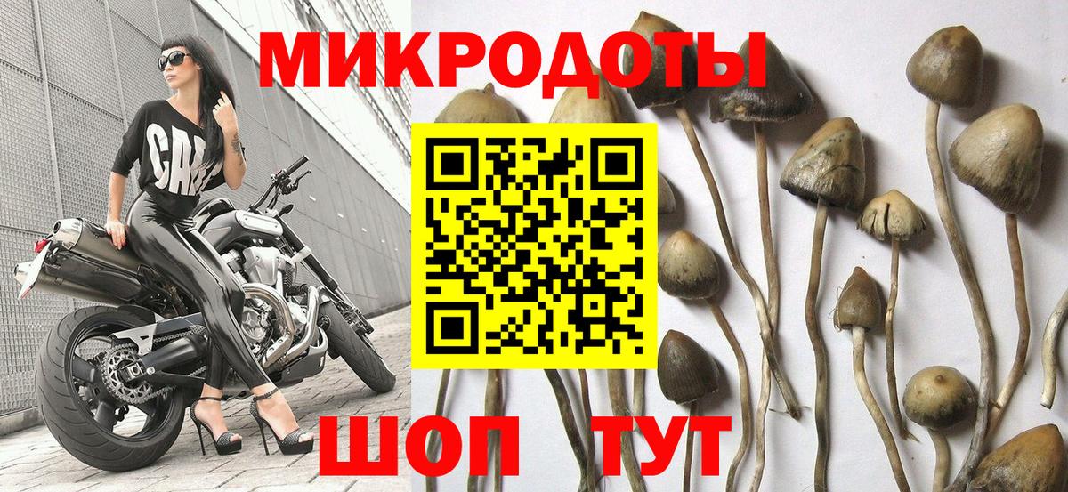 Галлюциногенные грибы прущие грибы Южноуральск