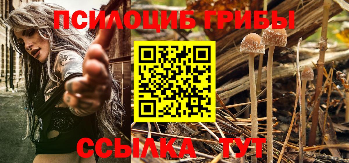 Галлюциногенные грибы прущие грибы  Псилоцибиновые грибы MAGIC MUSHROOMS  Южноуральск  Вход с VPN 